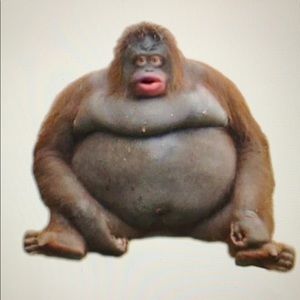 Meet your Posher, Giovanni